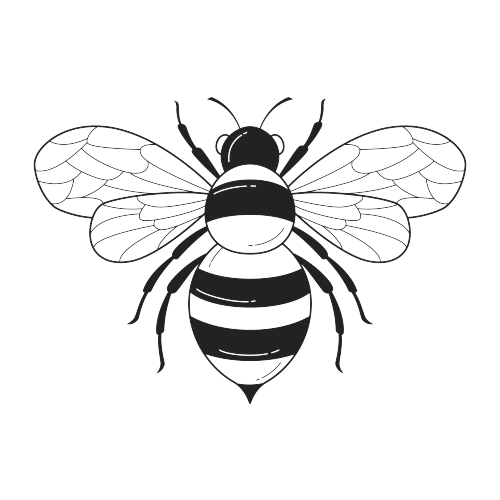 Busy Bee Cleaning